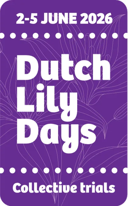 Zabo Plant maakt zich klaar voor Dutch Lily Days 2025