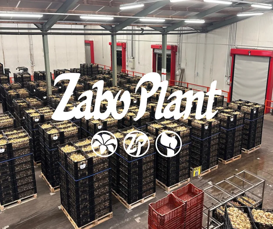 Teeltupdate 2025: Een recordseizoen in volle gang